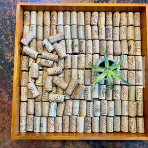 Wine Cork Collection (150)